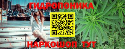 СК Краснодар