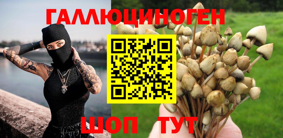 Ивантеевка  Галлюциногенные грибы GOLDEN TEACHER  Вход с VPN  Галлюциногенные грибы мухоморы 